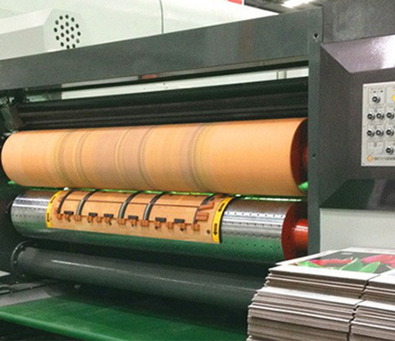 1552448639188349.jpg 13213.jpg